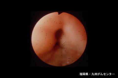 画像ID:5650