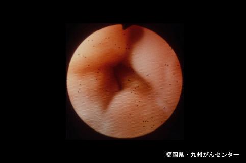 画像ID:5651