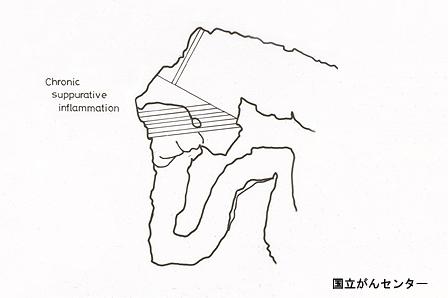 画像ID:5672