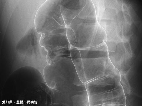 画像ID:5687
