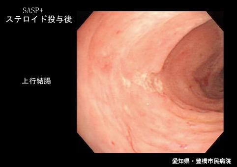 画像ID:5734