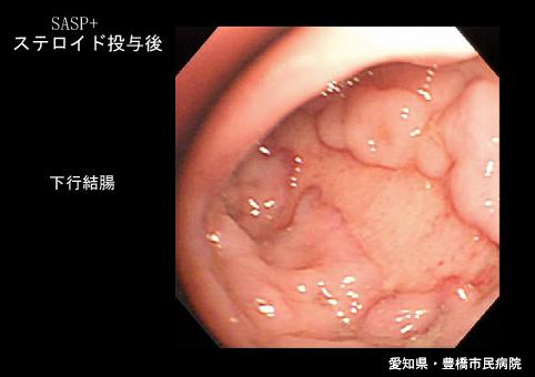 画像ID:5737