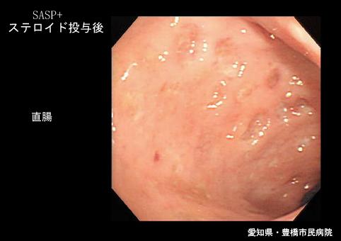 画像ID:5739
