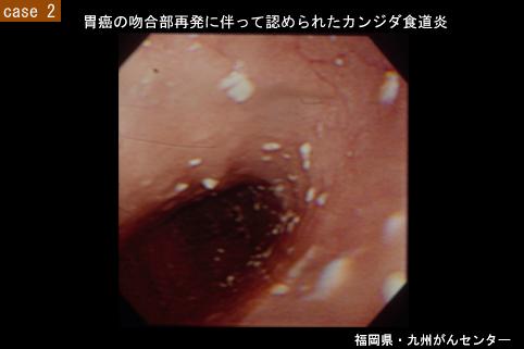 画像ID:5758