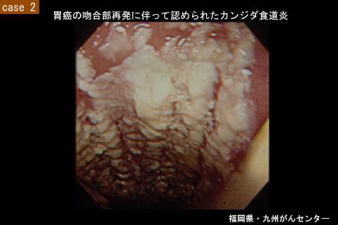 画像ID:5759