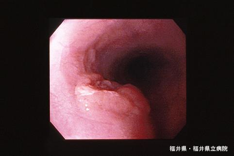 画像ID:5788