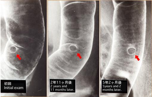 画像ID:5821