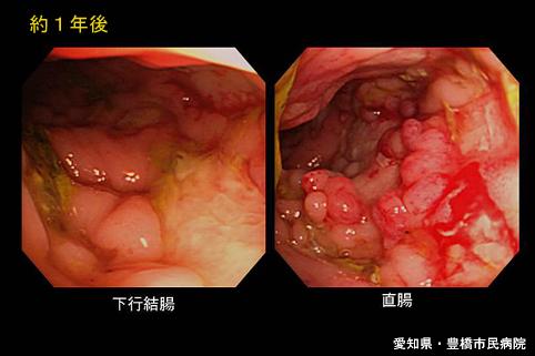 画像ID:5841
