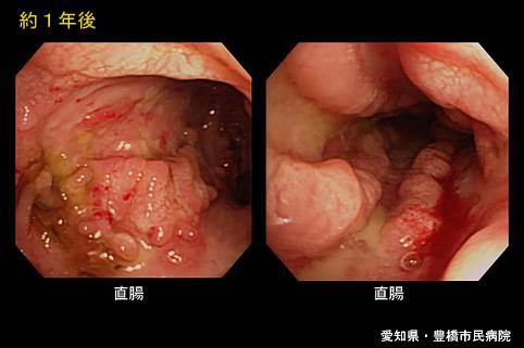 画像ID:5842