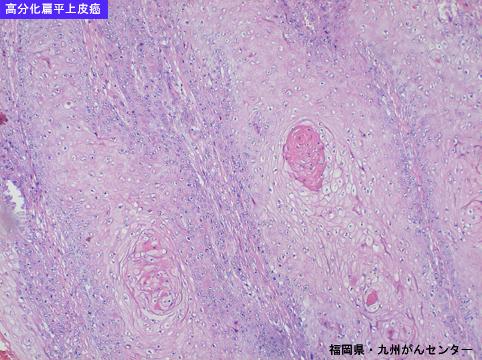 画像ID:5880