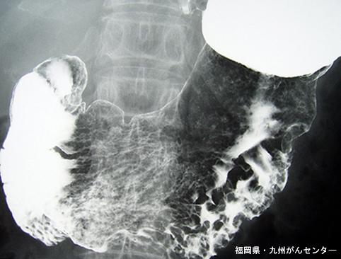 画像ID:5891