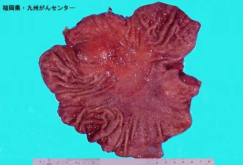 画像ID:5900