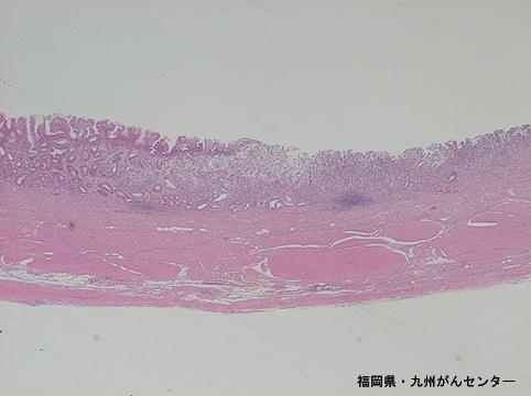 画像ID:5904