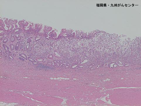 画像ID:5905