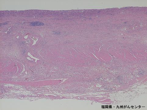 画像ID:5907
