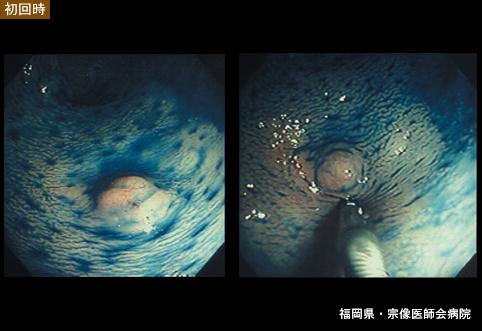 画像ID:5914
