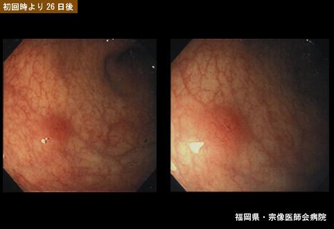 画像ID:5915