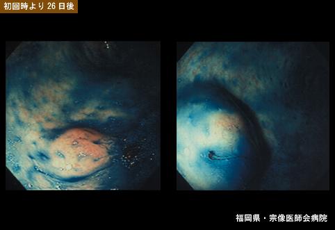 画像ID:5916