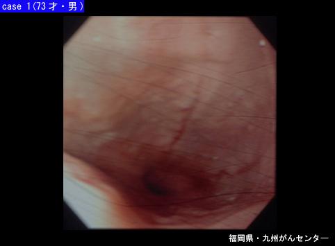 画像ID:5931