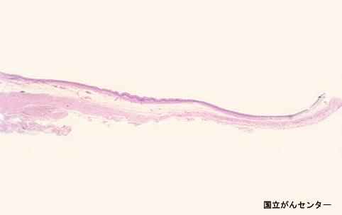 画像ID:6002