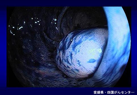 画像ID:6012