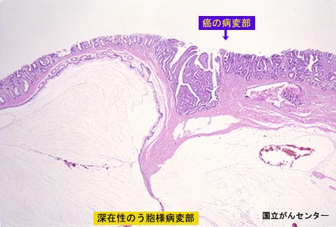 画像ID:6042