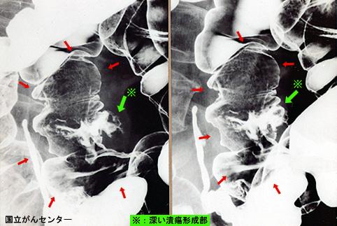 画像ID:6059