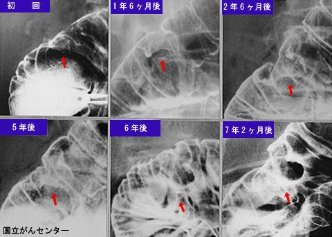 画像ID:6079