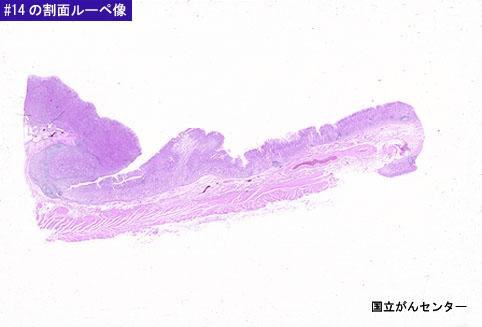 画像ID:6112