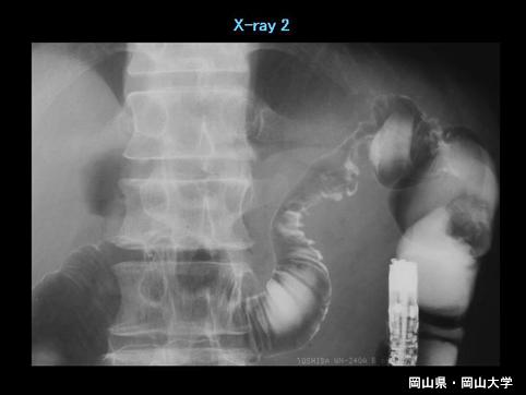 画像ID:6141