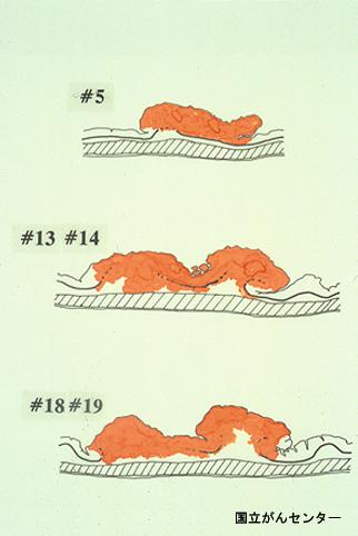 画像ID:6159