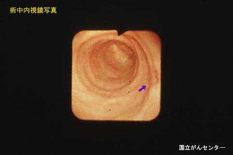 画像ID:6195