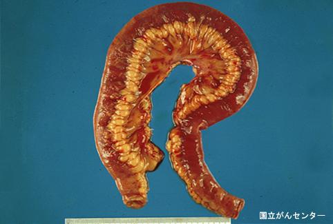 画像ID:6198