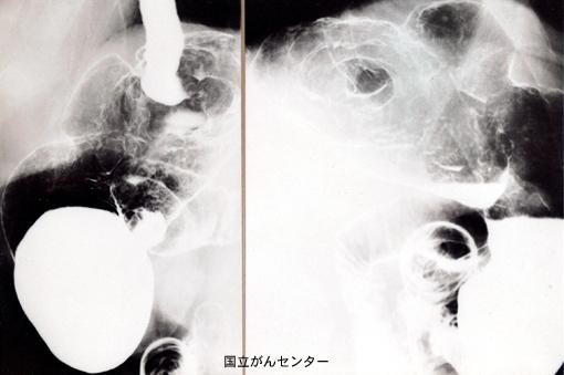 画像ID:6243