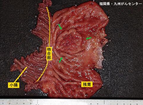 画像ID:6282