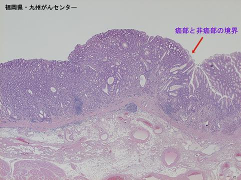 画像ID:6291