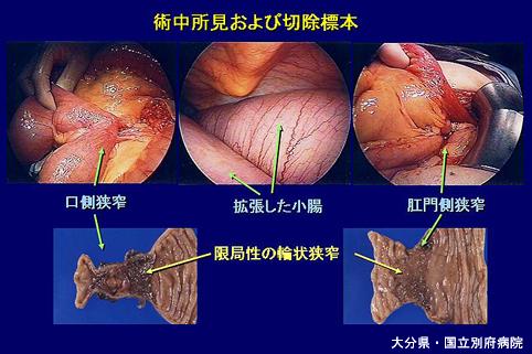画像ID:6386