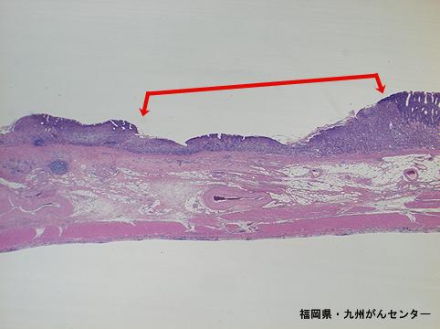 画像ID:6412