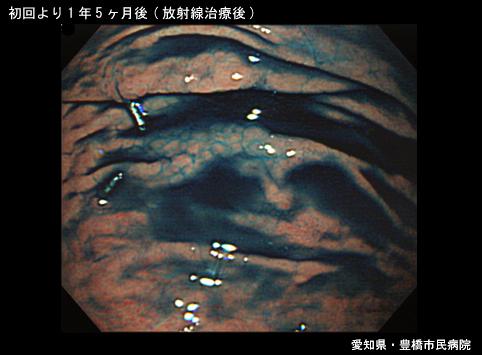 画像ID:6430
