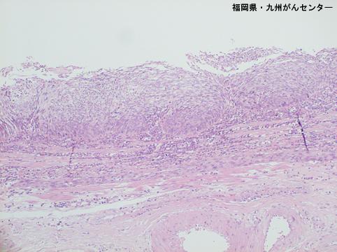 画像ID:6465