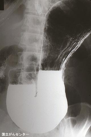 画像ID:6469