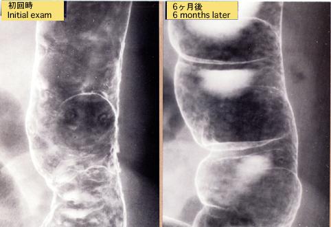 画像ID:6534