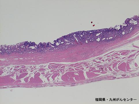 画像ID:6552