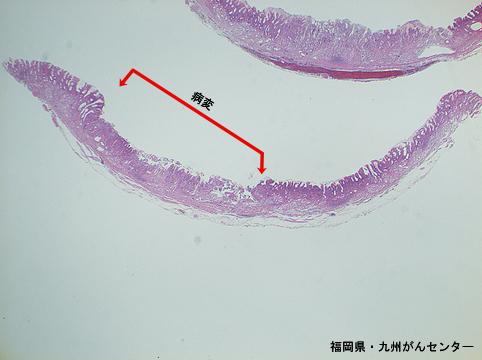 画像ID:6580