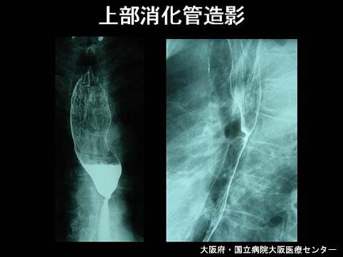 画像ID:6604