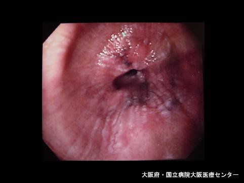 画像ID:6606