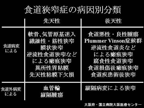 画像ID:6618