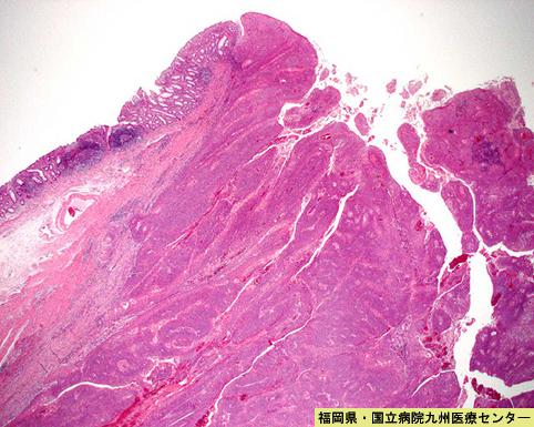画像ID:6629
