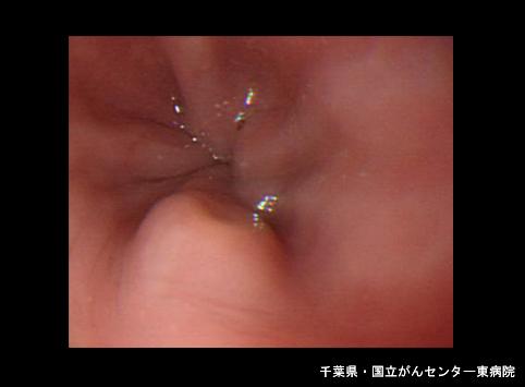画像ID:6703