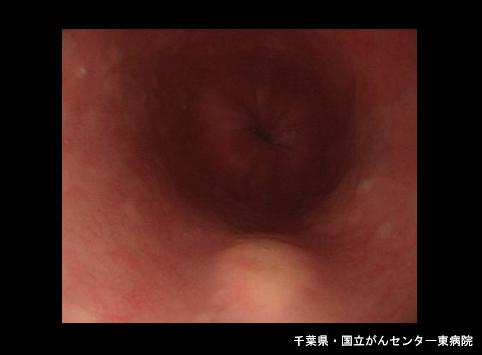 画像ID:6705